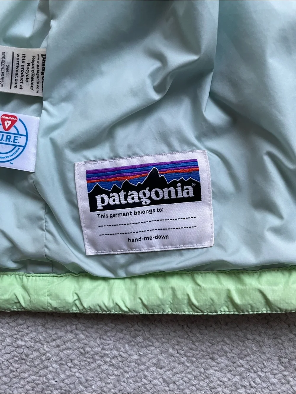 Patagonia Kids Nano Puff Brick Quilted Jacket, Salamander Green, Size XL (14)